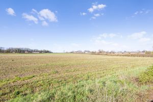 Photo 12- click for photo gallery